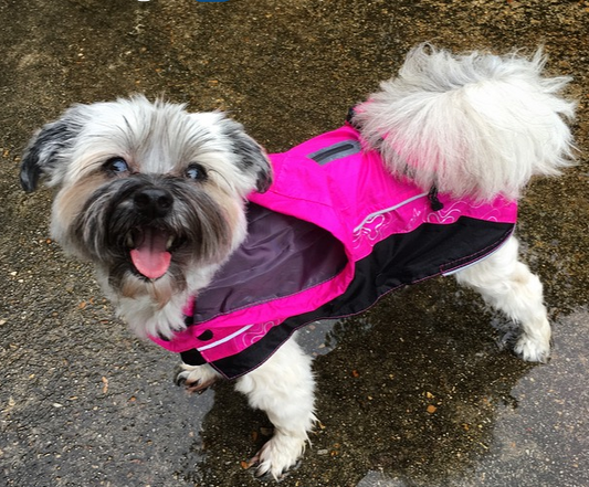 Reflective Dog Rain Coat